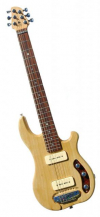 Rees Rambler travel guitar, oriented approximately 20 degrees