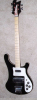Rickenbacker 4003/5 five string bass