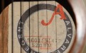 Alvarez 5208M acoustic guitar serial number