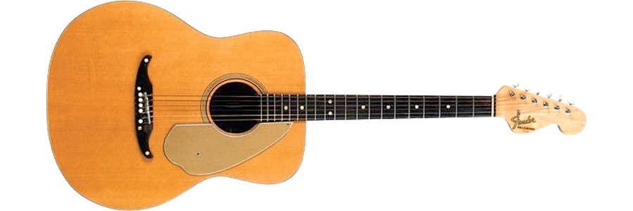Fender Palomino acoustic guitars