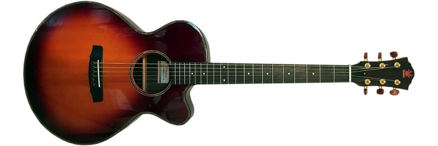 Vestax ES-1500 acoustic guitar