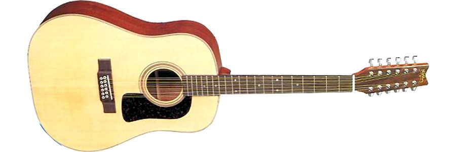 Washburn D29S-12 acoustic guitar