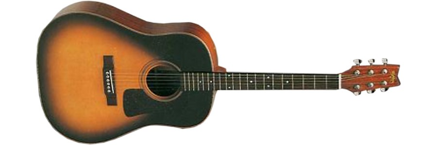 Washburn D29SB acoustic guitar