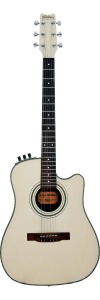 Washburn SBF24 electro/acoustic guitar