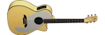 Alvarez ADY1 Ani DiFranco model acoustic guitar